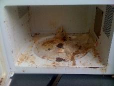 Cafeteria Microwave (Delicino, Michael)