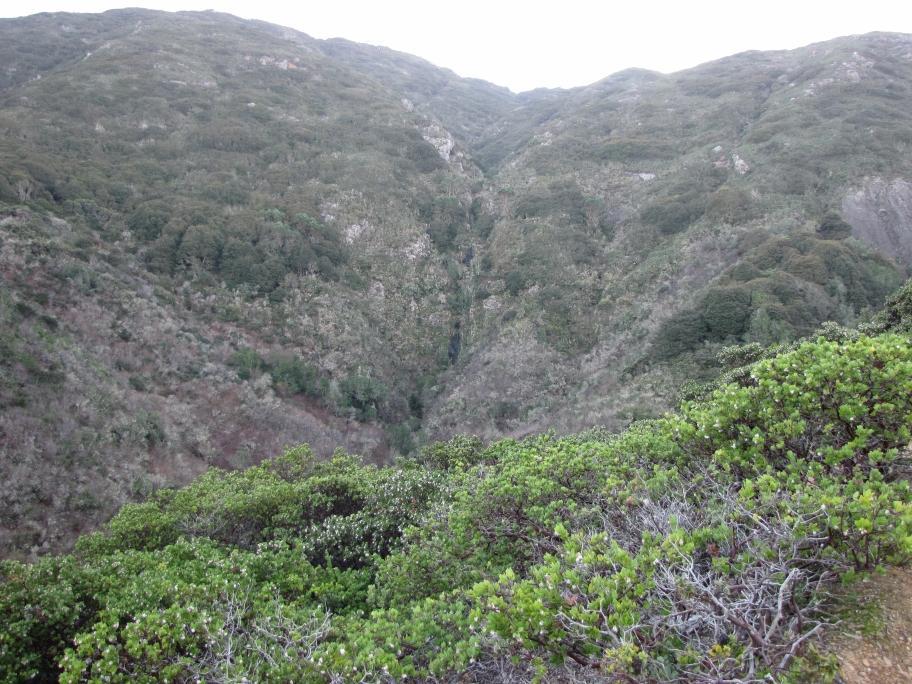 Brook's Creek Falls as seen from the trail. (Robyn Graham)