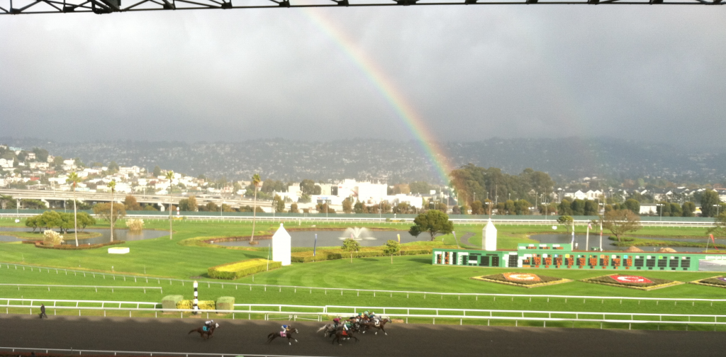 Golden Gate Fields is the best Bay Are spot for horse racing since the closure of Bay Meadows. (Blair Hardee)