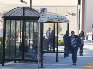 Students at the bus stop at Skyline College waiting for the next bus.