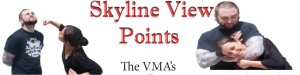 Skyline View Points - The VMAs