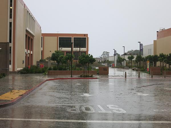 The bus circle on campus was immersed with water after the storm on Dec. 11, 2014.