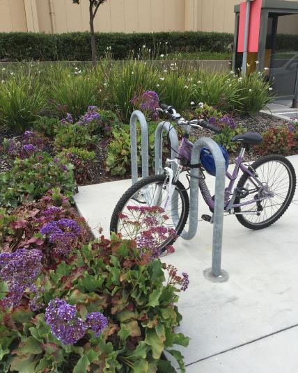 Bike parked at Skyline bike rack near the bus stop on September 16, 2015.