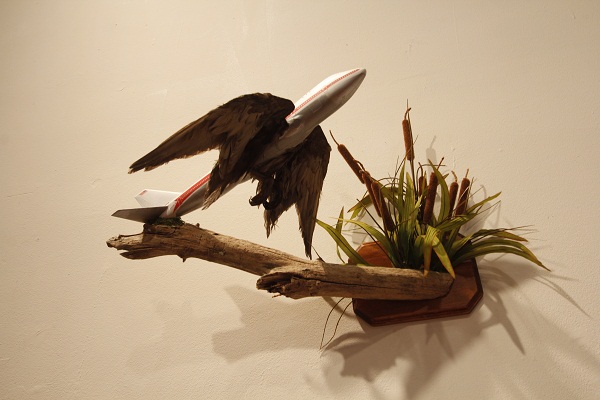 Rare Bird by Jeremiah Jenkins made from plastic, taxidermy, and wood. 