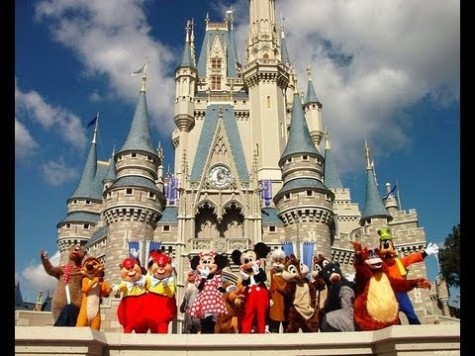 Disney College Program