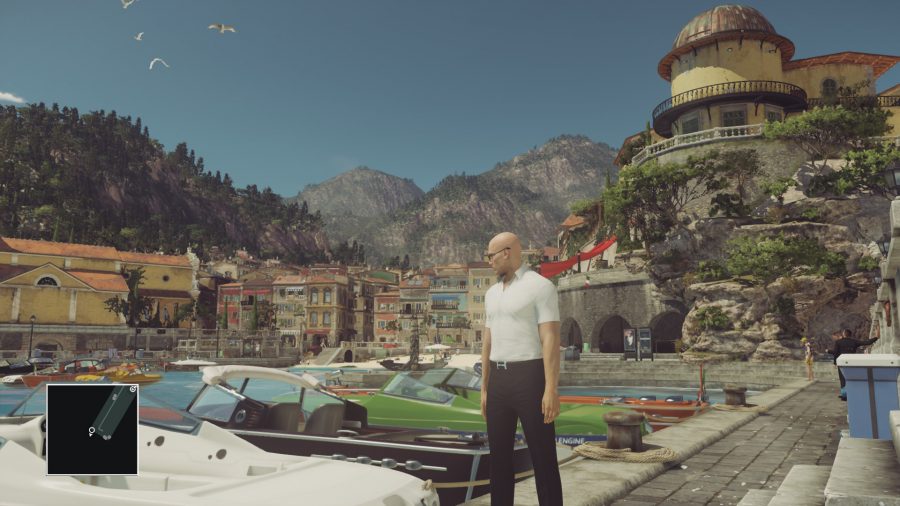 A screenshot of Agent 47 taking in the scenery. 