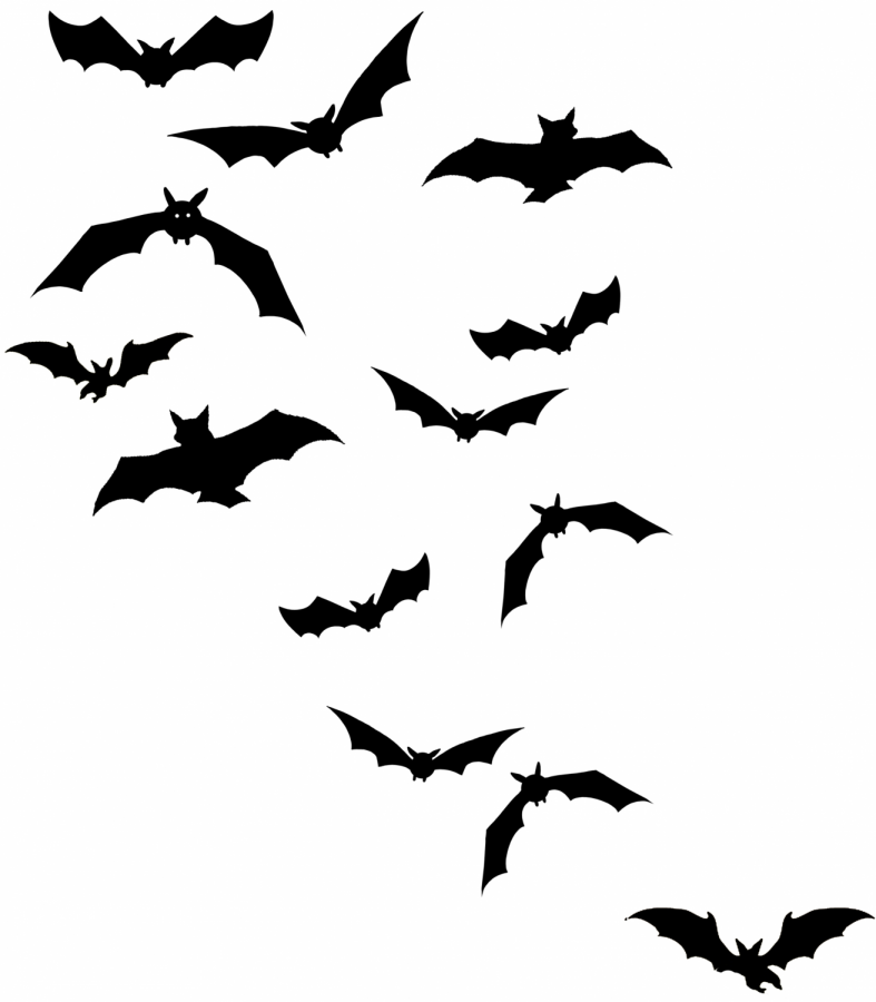 Bats at Halloween: Setting the Record Straight