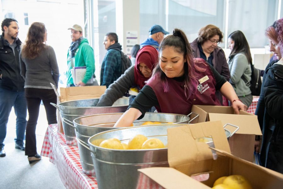 A student grabs fruit from bin available at the farmers market on March 7 