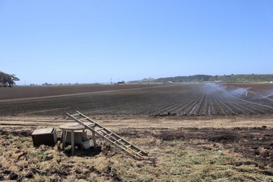 From The Ground Up: A look into coastal farming