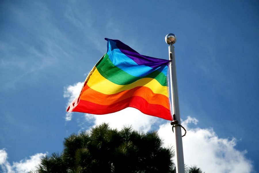 Rainbow flag as seen flying outside Campus Activity Centre on April 9, 2014.