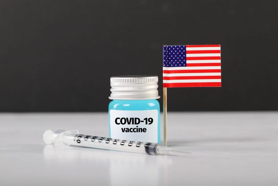The Issue on Mass Distribution of COVID-19 Vaccines