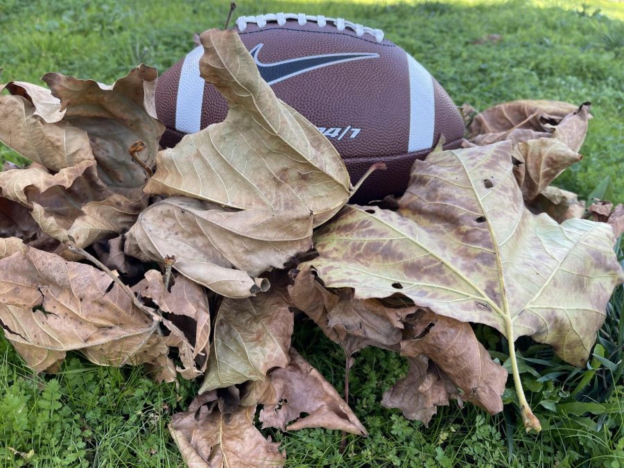 Thanksgiving+is+here+when+leaves+and+football+are+present