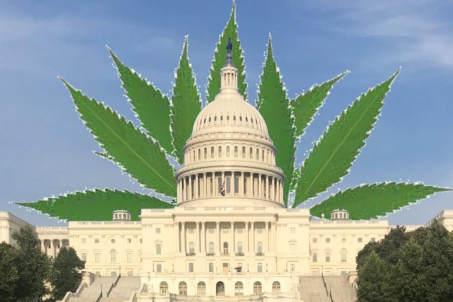 Washington continues to fall short of its mandate to follow the public will and  legalize marijuana.