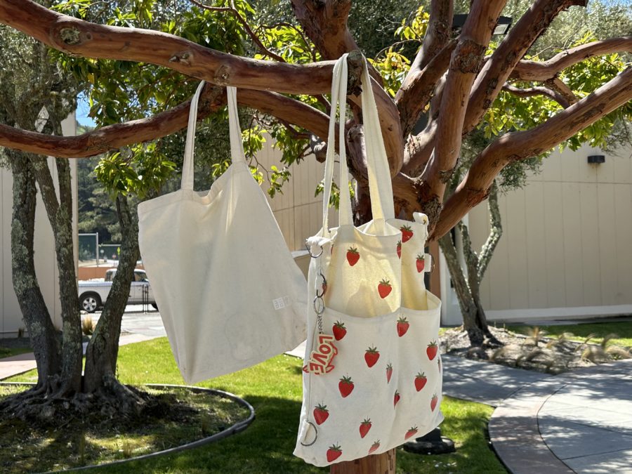 Tote bags come in all shapes and sizes offering a style that can suit anyone.