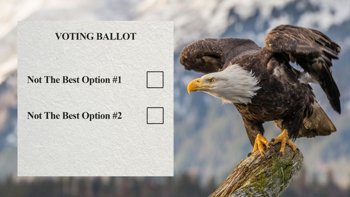 Satirical+voting+ballot+for+the+upcoming+election%2C+which+represents+how+people+feel+about+the+Biden-Trump+rematch.